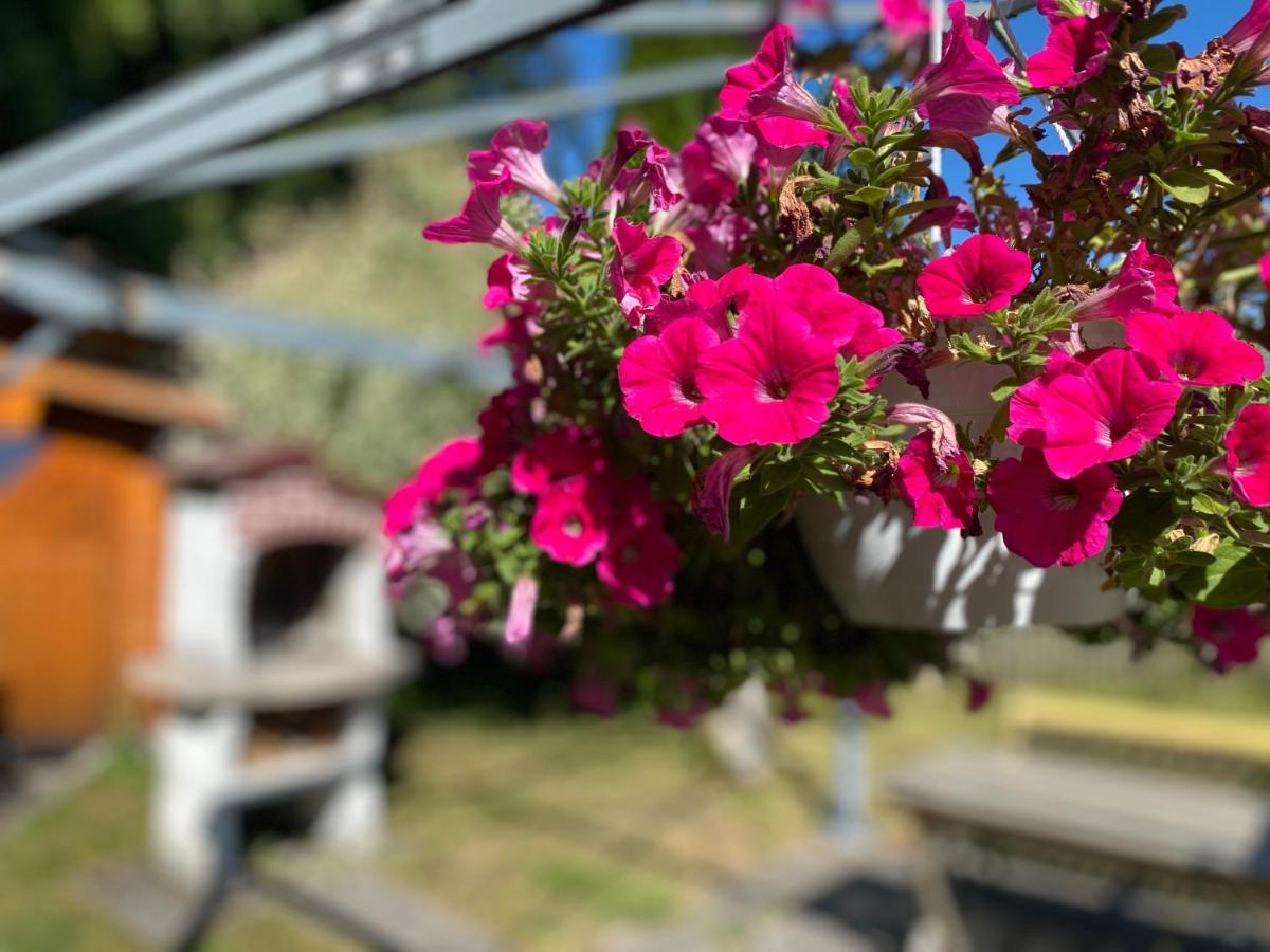 Ferienwohnung Am Franziskanergarten Bad Tölz Zewnętrze zdjęcie
